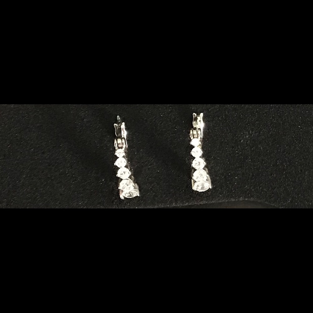 Sterling silver earrings